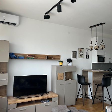 Apartment Charlie Private Parking Novi Sad Bagian luar foto