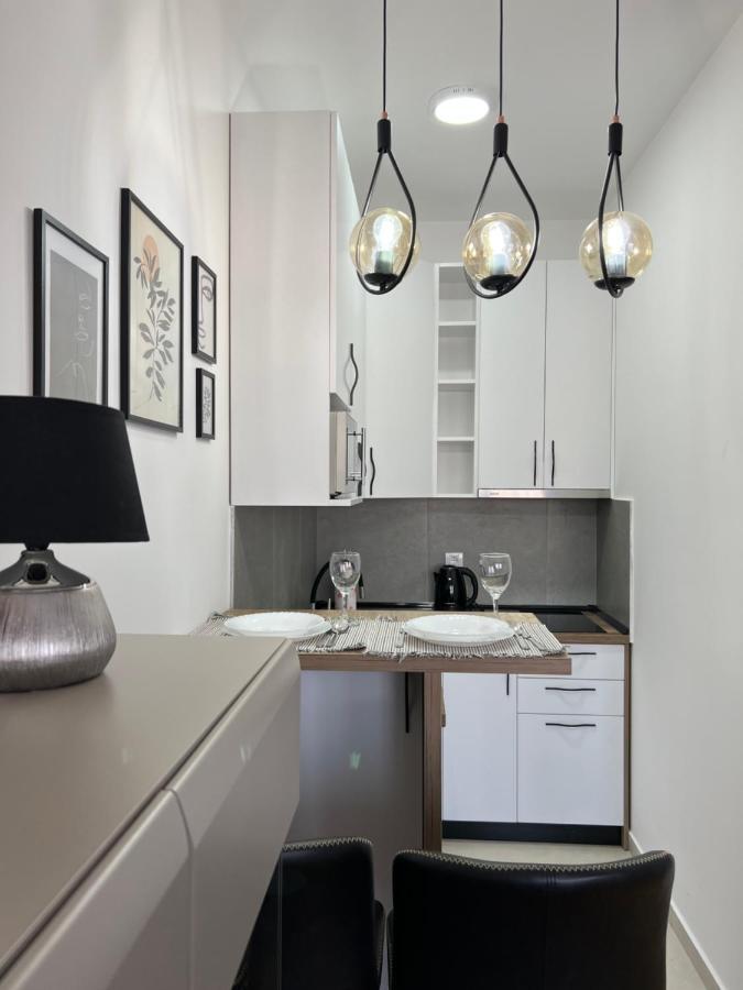 Apartment Charlie Private Parking Novi Sad Bagian luar foto