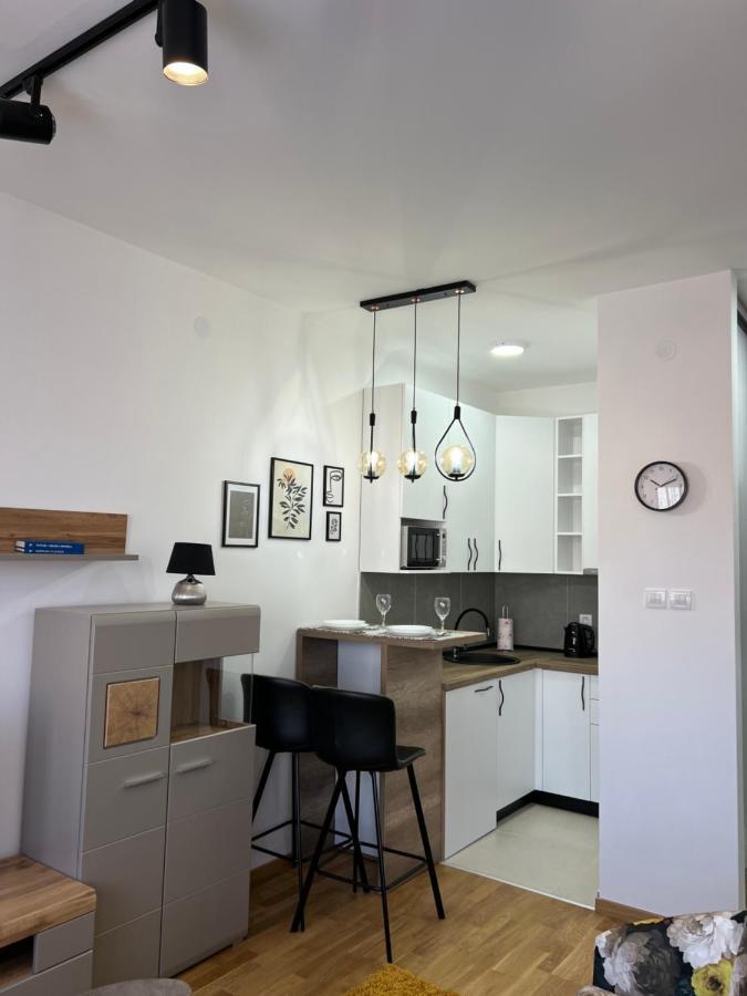 Apartment Charlie Private Parking Novi Sad Bagian luar foto