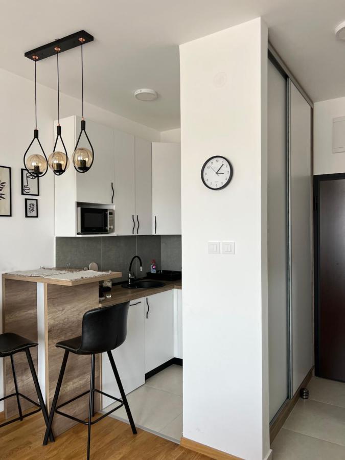 Apartment Charlie Private Parking Novi Sad Bagian luar foto